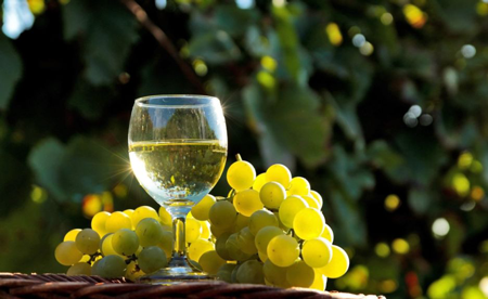 Semillon-Sauvignon-Blanc