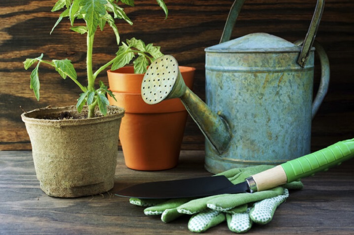 Garden Accessories