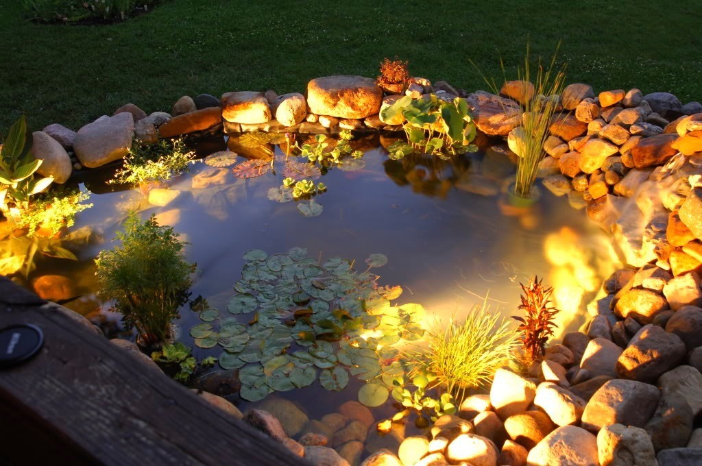 Underwater Pond Lights2