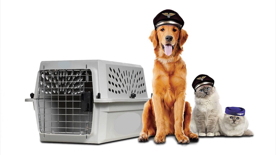 Animal Relocation