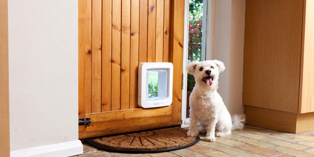 dog door