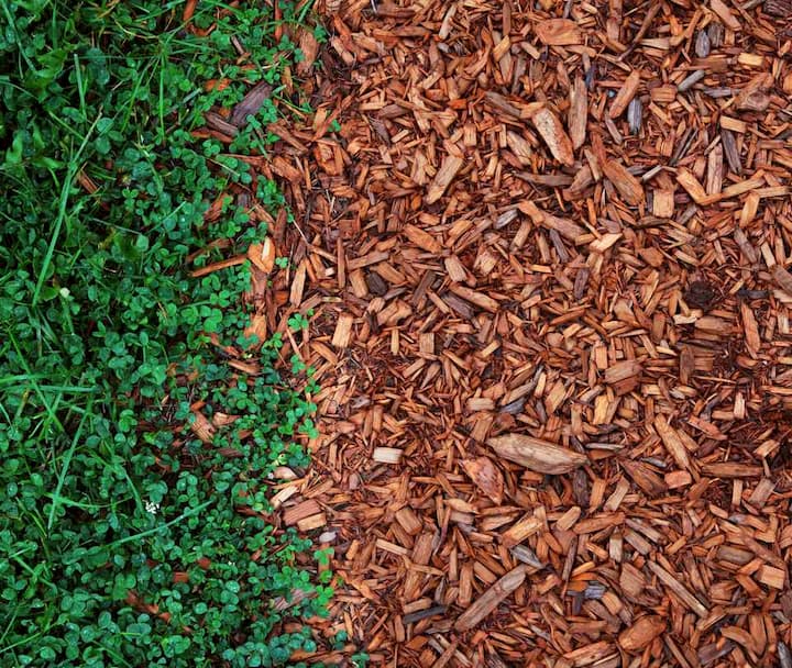 mulch and green grass