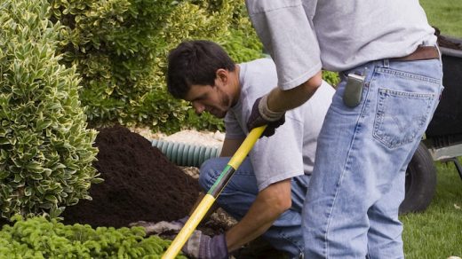 professional mulching service
