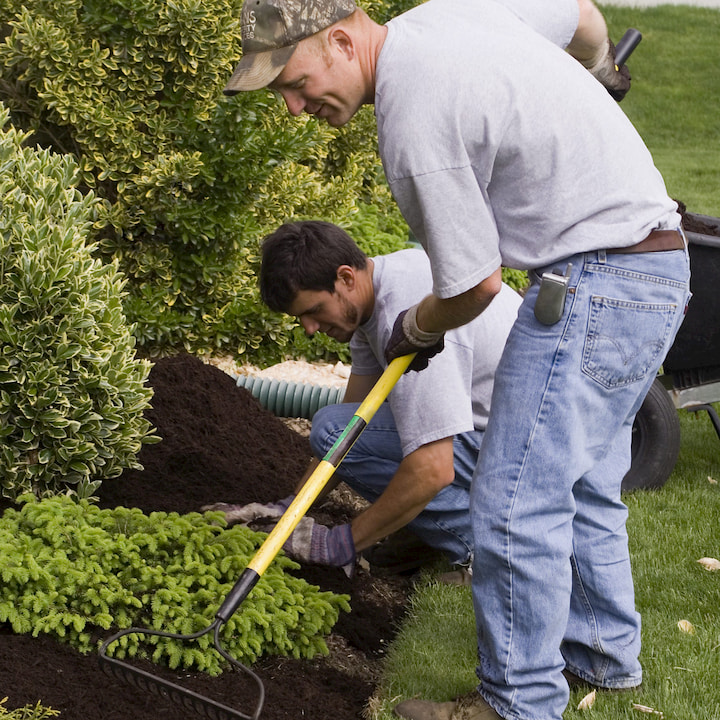 professional mulching service