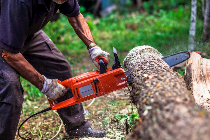 tree stump removal