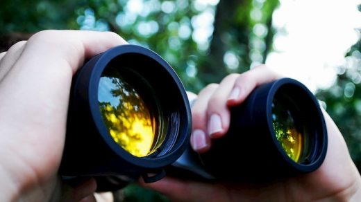 focusing-binocular