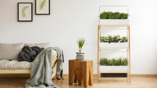 Small garden in apartment