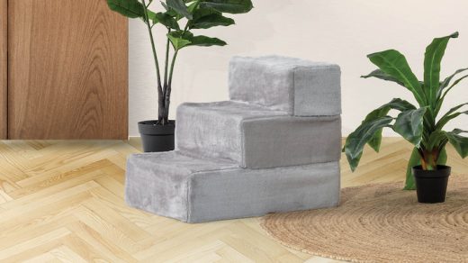 pet stairs