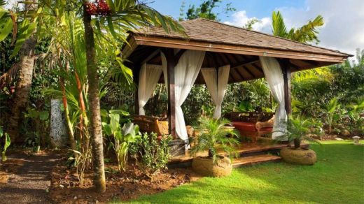tropical garden