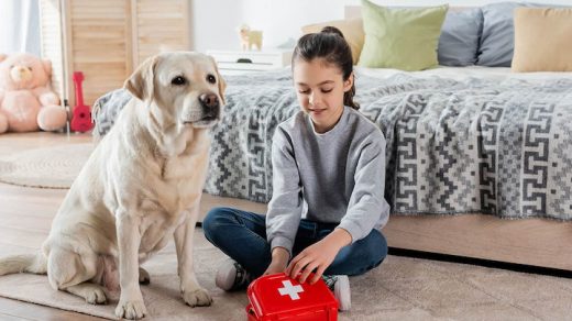 what-you-need-to-know-about-pet-first-aid