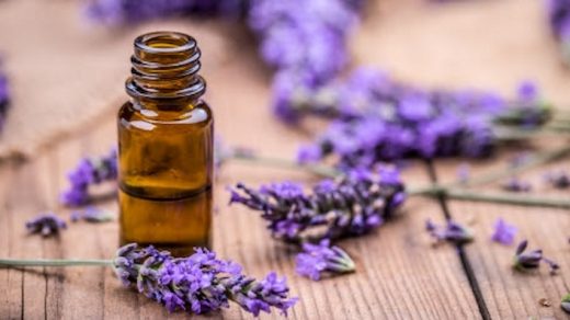 levander-essentail-oil