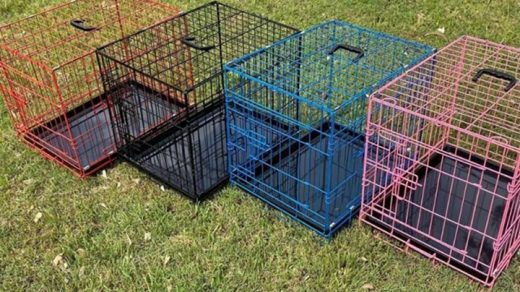 Small Collapsible Dog Crate – 24″