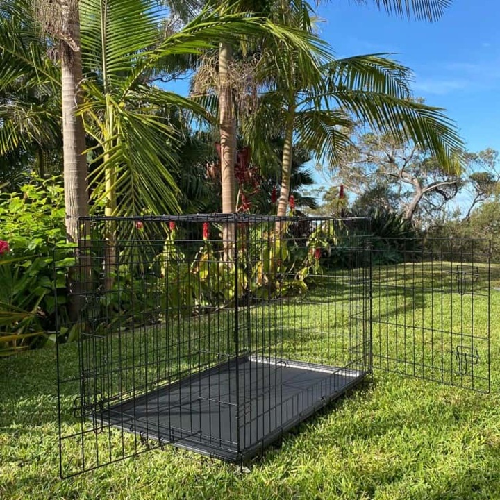 Extra Large Collapsible Dog Crate – 42” (R)