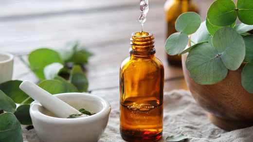 eucalyptus-oils
