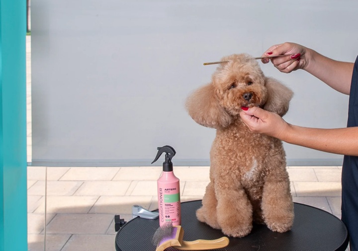 woman using Artero grooming supplies for the dog